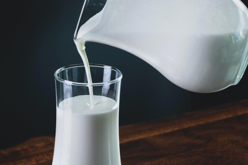 Frische Milch direkt vom Bauernhof: Das sollten Konsumenten wissen